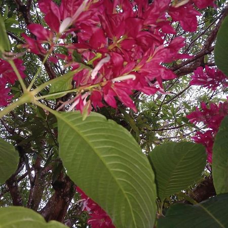 Casa Finca El Rosario San Marcos  Εξωτερικό φωτογραφία