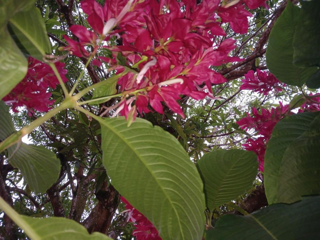 Casa Finca El Rosario San Marcos  Εξωτερικό φωτογραφία
